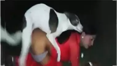 380px x 214px - Indian video Desi Aunty Fuck With Dog In A Outdoors